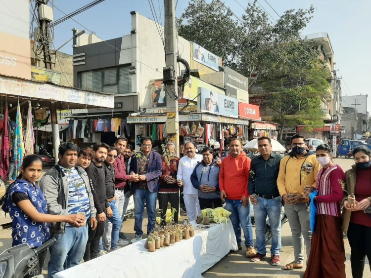 सिन्धुसेना द्वारा तुलसी पूजन दिवस पर तुलसी के पौधों का किया नि:शुल्क वितरण